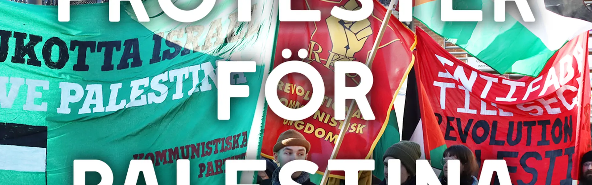 Bild visar demonstration i Ume&aring; f&ouml;r Palestina