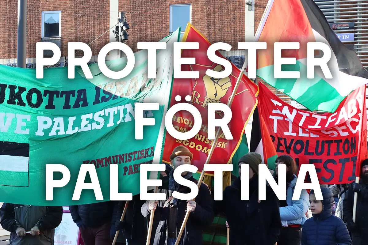 Bild visar demonstration i Ume&aring; f&ouml;r Palestina